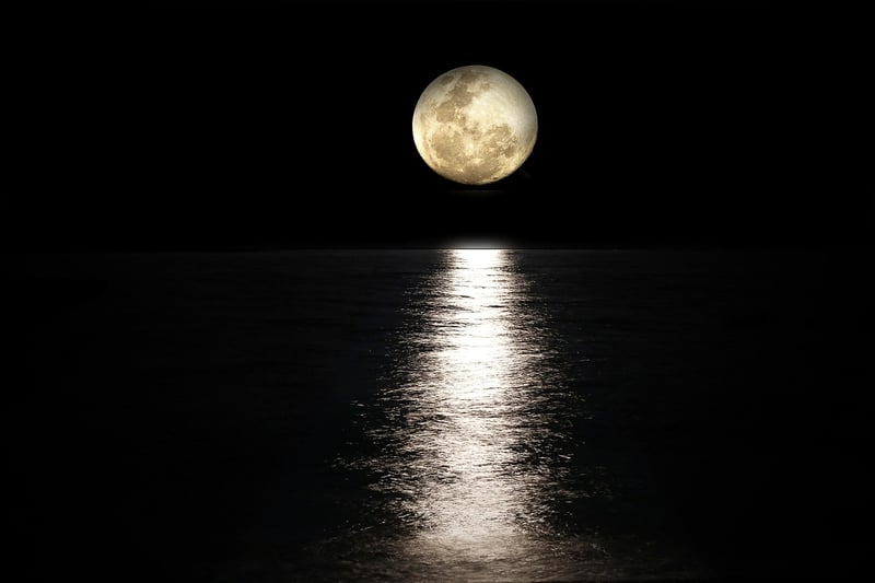 Moonlit Nuptials